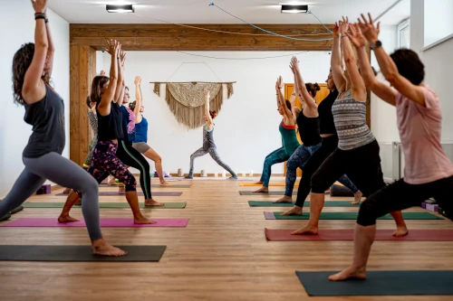 Zajęcia jogi online